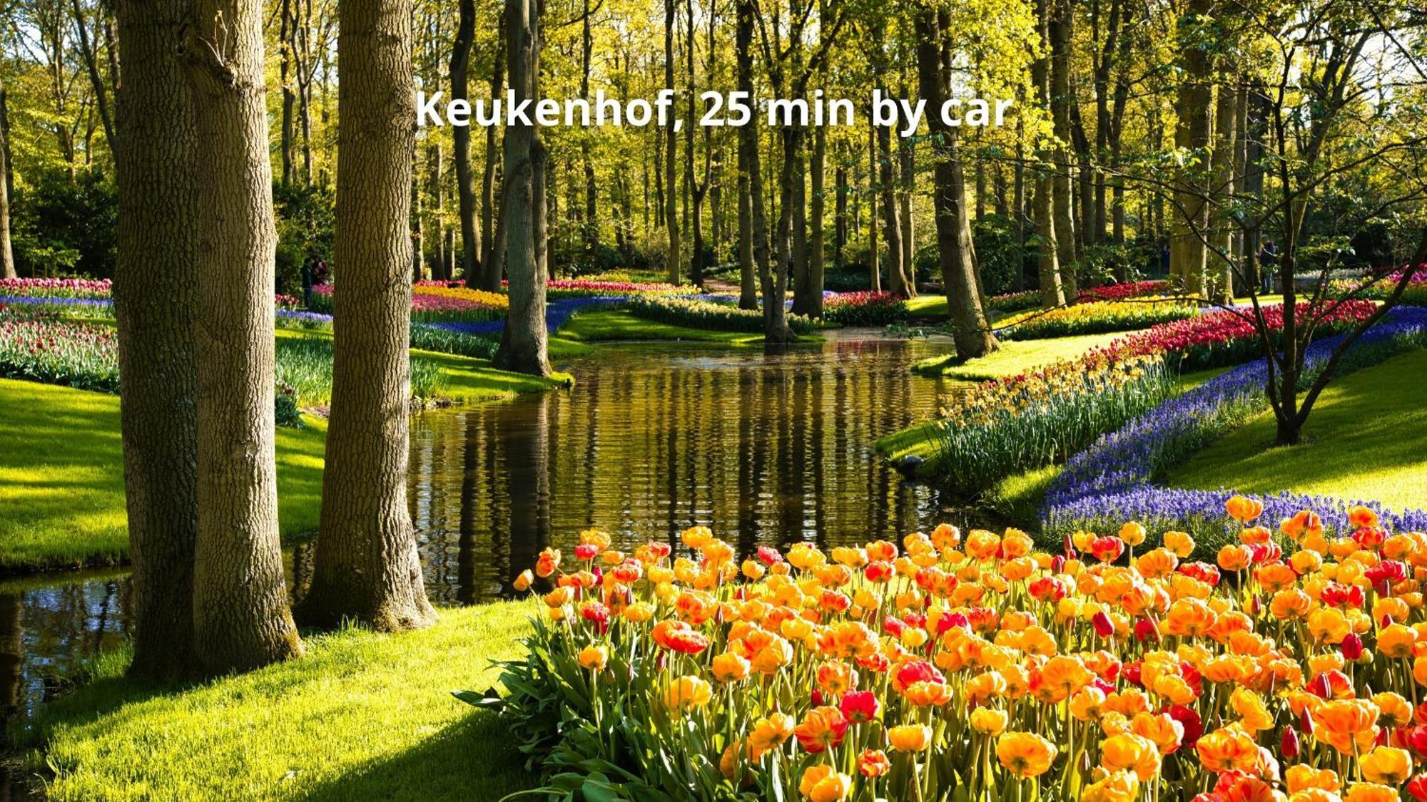Boutique Hotel Herbergh Amsterdam Airport Free Parking Badhoevedorp Dış mekan fotoğraf